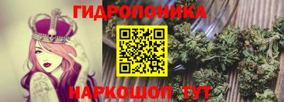 прущие грибы Новозыбков