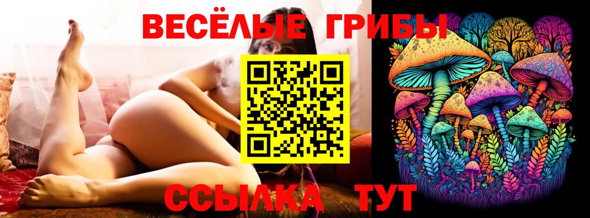 Псилоцибиновые грибы GOLDEN TEACHER Калуга